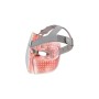 Electroestimulador Therabody TF03823-01 Silicona Aluminio Acero ABS