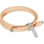 Câble USB-C vers USB-C Motorola SJCS0CCB20ET1-EU-PF 2 m