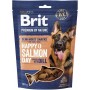 Snack pour chiens Brit Saumon 180 g
