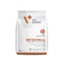 Pienso VETEXPERT Intestinal Cat 250 g