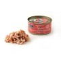 Aliments pour chat FISH4DOGS FISH4CATS Tuna fillet with salmon Poisson 70 g