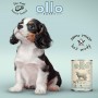 Alimentation humide Ollo Puppy Umami Viande de bœuf 400 g