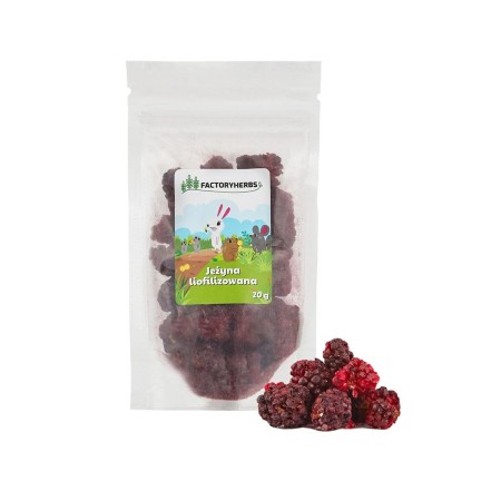 Alimento para Conejos Factoryherbs Freeze-dried blackberry Chinchilla Cobaya Hámster Rata Ratón Roedores Aves