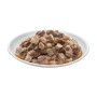 Aliments pour chat Prevital
