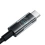 Cable USB-C a USB-C Baseus P10373000111-01 Negro 2 m