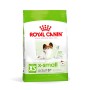 Nourriture Royal Canin Adult 8+ x- small SHN Oiseaux 1,5 Kg