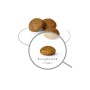 Nourriture Royal Canin Adult 8+ x- small SHN Oiseaux 1,5 Kg