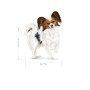 Nourriture Royal Canin Adult 8+ x- small SHN Oiseaux 1,5 Kg