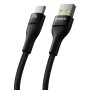 Câble USB A vers USB-C Baseus P10311804111-01 Noir 2 m