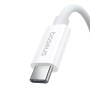 Câble USB-C vers USB-C Baseus P10365200211-02 Blanc 1 m