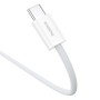 Cable USB-C a USB-C Baseus P10365200211-00 Blanco 1 m