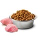Nourriture Farmina 8010276033635 Adulte Poulet 2,5 g
