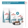 Snack pour chiens Royal Canin Hypoallergenic Treats 230 g