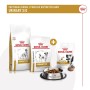 Snack pour chiens Royal Canin Urinary S/O Treats 230 g