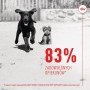 Snack para Perros Royal Canin Immunity & Digest Puppy 100 g