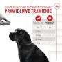 Snack pour chiens Royal Canin Immunity & Digest Puppy 100 g