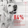 Snack pour chiens Royal Canin Supplements Dog Digestion Adult 160 g