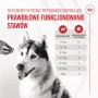 Snack para Perros Royal Canin Supplements Dog Joint & Ageing Adult 240 g