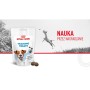Snack pour chiens Royal Canin Training Treats 110 g