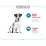 Snack pour chiens Royal Canin Training Treats 110 g
