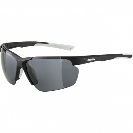 Gafas de Sol Hombre Alpina DEFEY HR