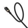 Câble USB vers Lightning Baseus P10377801U01-02 Noir Or 2 m