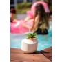 Paille réutilisable Algon Plastique 19,5 cm 6 mm 30 Pièces 24 Unités