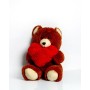 Oso de Peluche GO GIFT FRANK 50 BR Marrón Felpa Corazón 50 cm