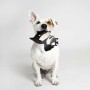 Juguete para perros Batman