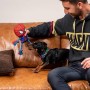 Jouet pour chien Spider-Man