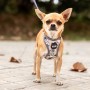 Harnais pour Chien Disney