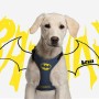 Arnés para Perro Batman Azul