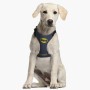 Harnais pour Chien Batman Bleu