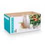 Set de Platos Leknes CK80678-1 Transparente Plástico 25,5 x 12,5 x 25,5 cm (12 Unidades)