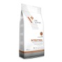 Aliments pour chat VETEXPERT Intestinal Cat 2 Kg