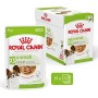 Comida húmeda Royal Canin Adult xs-small Carne 12 x 85 g