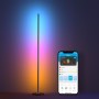 Lampadaire Govee LED Floor Lamp Noir Multicouleur 24 V (1 Pièce)