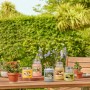 Bougie Parfumée Yankee Candle 10.00114.0846