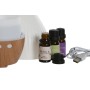 Diffuseur d'Huiles Essentielles Home ESPRIT Urbaine 10 ml (4 Pièces)