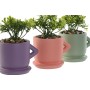 Planta Decorativa Home ESPRIT Polietileno Cemento Urbano 9 x 7 x 12 cm (3 Unidades)