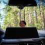 Désodorisant Pour Voiture Dr Marcus Twist Wild Fusion Bois Parfum Pendentif