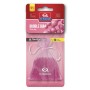 Ambientador para Coche Dr Marcus Fresh Bag Chicle Fragancia Bolsita