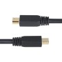 Câble VGA Startech DP14MDPMM10F Noir 3 m