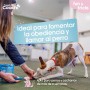 Arnés para Perro Coachi