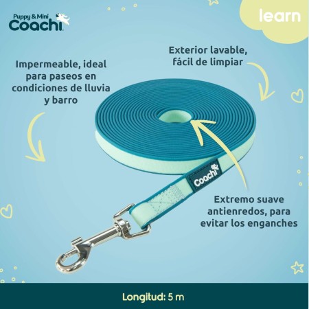 Harnais pour Chien Coachi