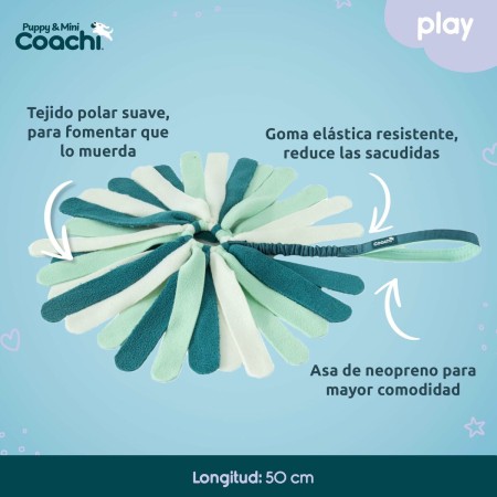 Arnés para Perro Coachi