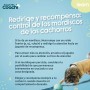 Harnais pour Chien Coachi