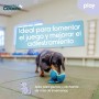 Arnés para Perro Coachi