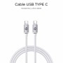 Câble USB-C vers USB-C Subblim SUBCAB-C06010 Blanc 1 m