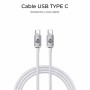 Câble USB-C vers USB-C Subblim SUBCAB-C06010 Blanc 1 m